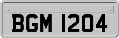 BGM1204