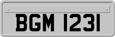 BGM1231