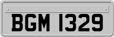 BGM1329