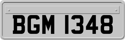 BGM1348