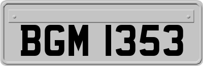 BGM1353