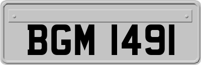 BGM1491