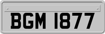 BGM1877