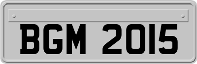 BGM2015