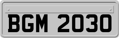 BGM2030