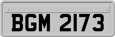 BGM2173