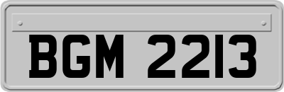 BGM2213