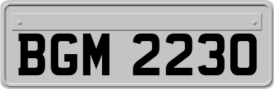 BGM2230