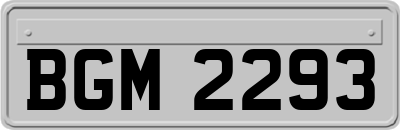 BGM2293