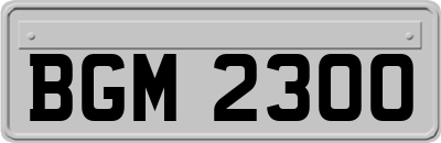 BGM2300