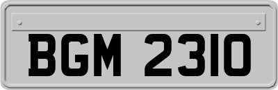 BGM2310