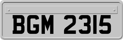 BGM2315
