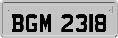 BGM2318