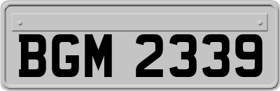 BGM2339