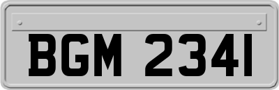 BGM2341