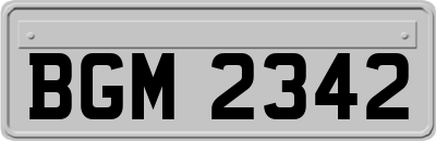 BGM2342