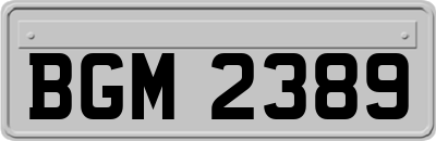 BGM2389