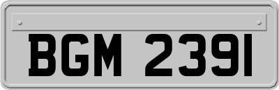 BGM2391