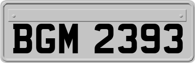 BGM2393