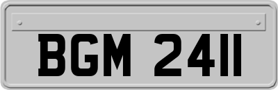 BGM2411