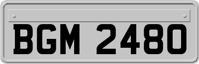 BGM2480