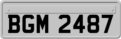 BGM2487