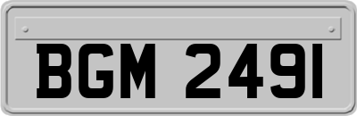 BGM2491