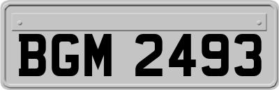 BGM2493
