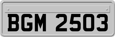 BGM2503