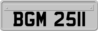 BGM2511