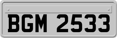 BGM2533