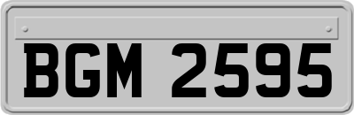 BGM2595