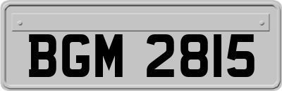 BGM2815