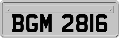 BGM2816