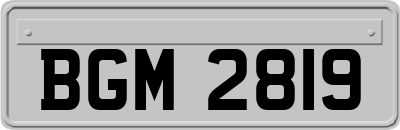 BGM2819