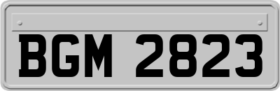 BGM2823