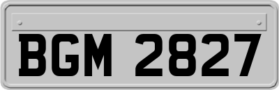 BGM2827