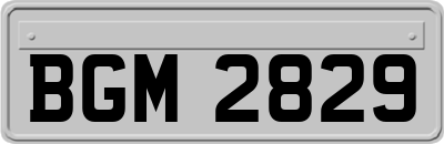 BGM2829