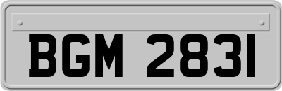 BGM2831