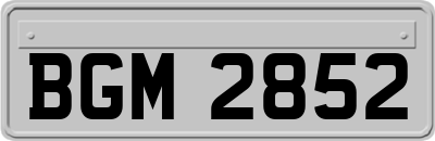 BGM2852