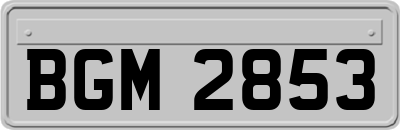 BGM2853