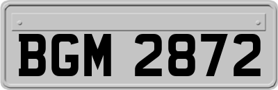 BGM2872