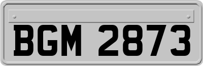 BGM2873