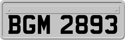 BGM2893