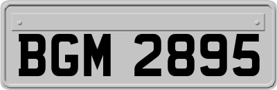 BGM2895
