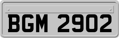 BGM2902