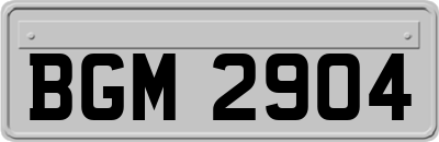 BGM2904