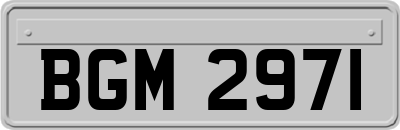 BGM2971