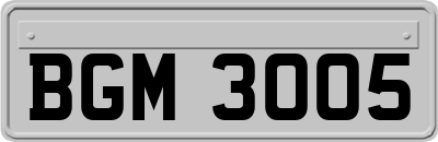 BGM3005