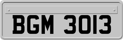 BGM3013